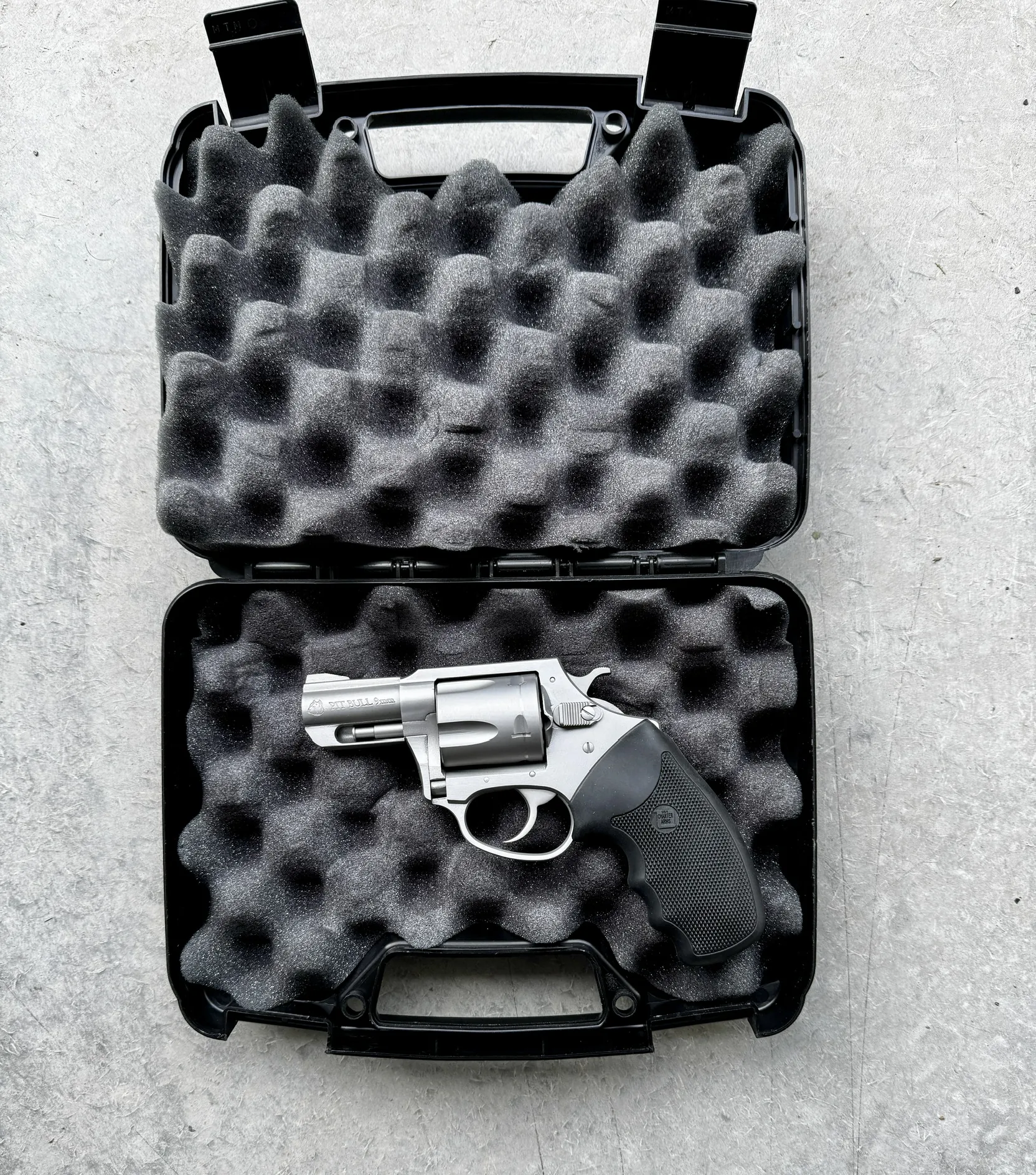 Charter Arms Pitbull