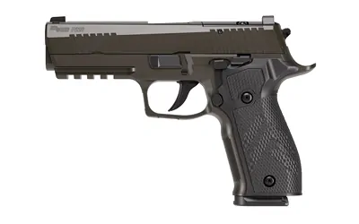 Sig P226 Xlgn Da/sa 9mm 3.8 10rd Gry