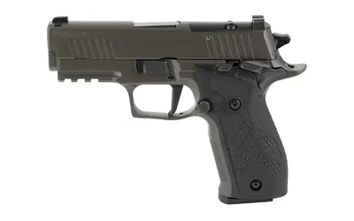 Sig P226 Xlgn Sao 9mm 3.8" 10rd Gry