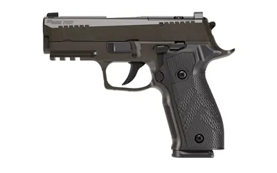 Sig 226 Xlgn Da/sa 9mm 3.8" 18rd Gry