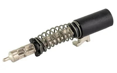 Sig P365 Slide Completion Kit