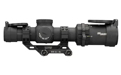 Sig Tango-msr Cmp 1-10x24 Sfp Bdc10