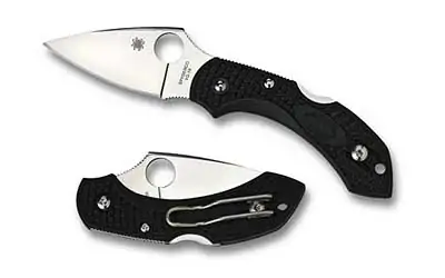 Spyderco Dragonfly2 Black Frn Plain