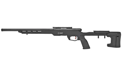 Sav B22 Prcsn 22lr 18" 10rd Tb Blk