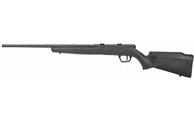 Sav B17 F 17hmr 21" 10rd Blk