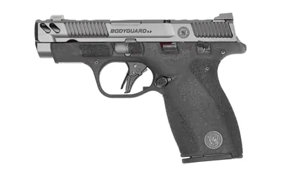 S&w Bodygrd 2 Cc 380acp 3.1" Ts Ca