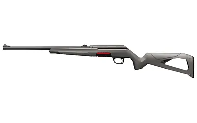 Win Xpert 22lr 18" 10rd Blk
