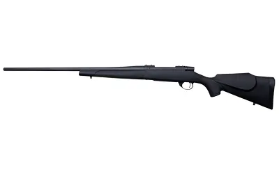 Wby V-grd Obsidian 22-250 24" 5rd